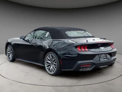 2026 Ford Mustang — rear three-quarter view