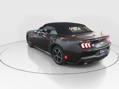 2024 Ford Mustang - Photo 5