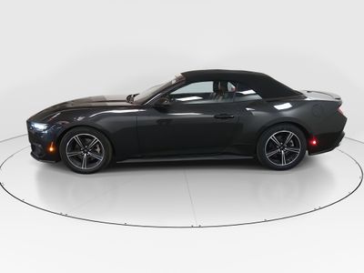 2024 Ford Mustang - Photo 4