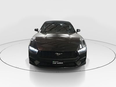 2024 Ford Mustang - Photo 2