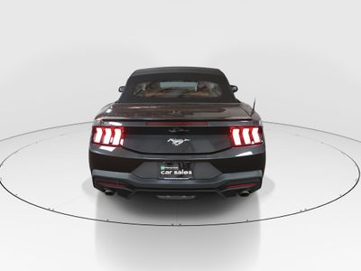 2024 Ford Mustang - Photo 6