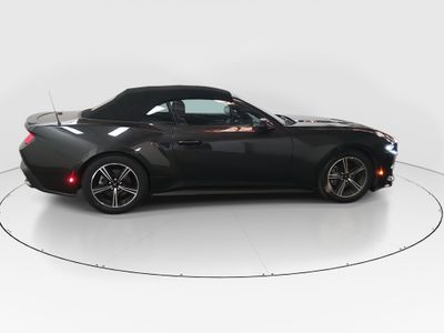 2024 Ford Mustang - Photo 8