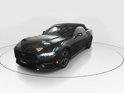 2024 Ford Mustang - Photo 3
