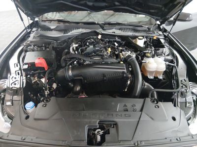 2024 Ford Mustang - Photo 9