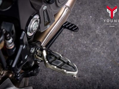 2024 Indian Motorcycle FTR R Carbon Carbon Fiber - Photo 8