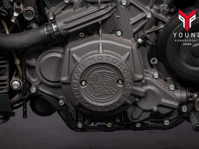 2024 Indian Motorcycle FTR R Carbon Carbon Fiber - Photo 18