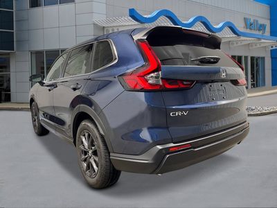 2026 Honda CR-V — rear three-quarter view