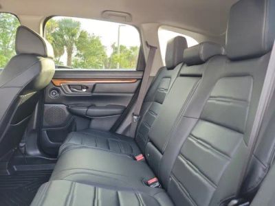 2019 Honda CR-V — photo 12 view