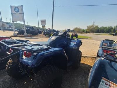 2025 Honda FourTrax Rancher 4x4 Automatic DCT IRS EPS - Photo 6