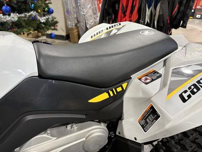 2026 Can-Am Renegade 110 EFI - Photo 13