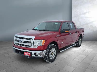 2013 Ford F-150 - Photo 1