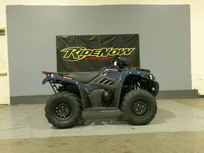 2025 Kawasaki KVF450ASFNN - Photo 1