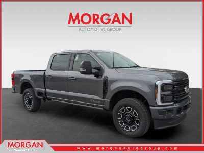 2026 Ford F-250SD Platinum in Gray — front three-quarter view