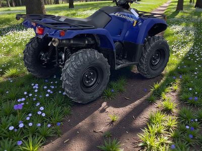 2026 Yamaha Kodiak 450 - Photo 4
