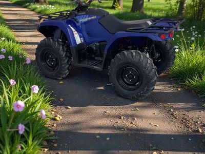2026 Yamaha Kodiak 450 - Photo 3