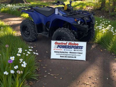 2026 Yamaha Kodiak 450 - Photo 1