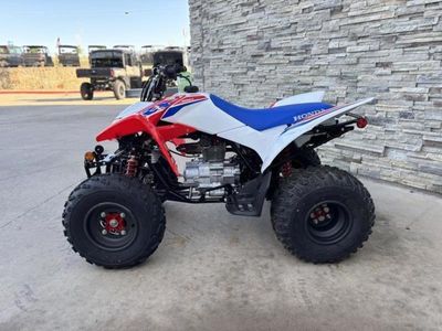 2026 Honda TRX250X - Photo 7