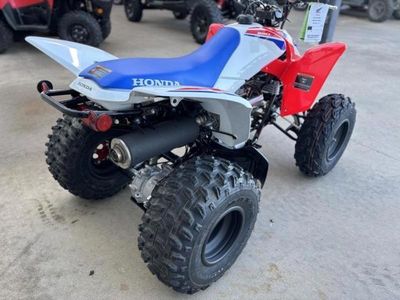 2026 Honda TRX250X - Photo 4