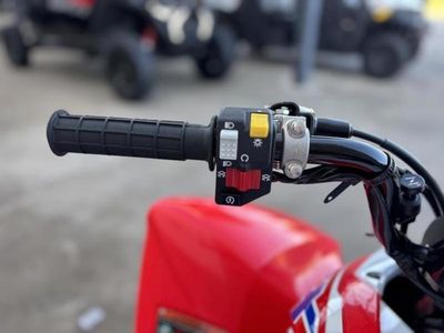 2026 Honda TRX250X - Photo 9