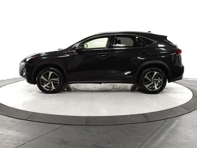 2020 Lexus NX - Photo 8