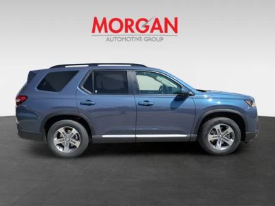 2026 Honda Pilot — photo 8 view