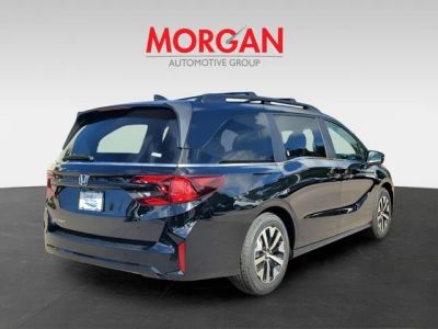 2026 Honda Odyssey — detail view