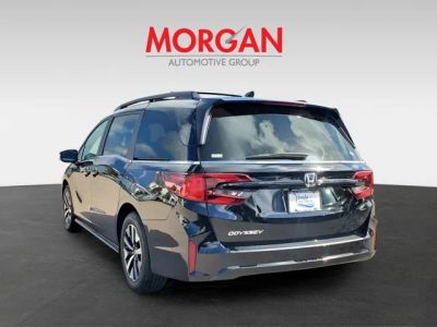 2026 Honda Odyssey — photo 7 view