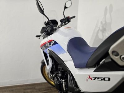 2025 Honda Transalp - Photo 11