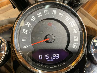 2021 Harley-Davidson Softail Slim - Photo 7