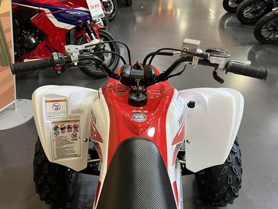 2026 Yamaha Raptor 700R SE - Photo 6