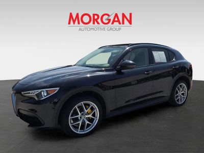 2019 Alfa Romeo Stelvio — photo 9 view
