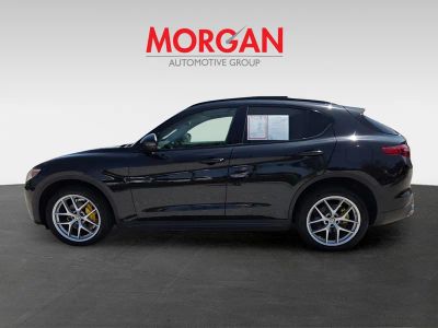 2019 Alfa Romeo Stelvio — photo 8 view