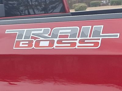 2021 Chevrolet Silverado 1500 — photo 19 view