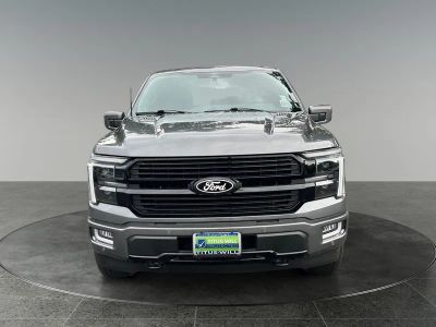 2025 Ford F-150 — side profile view
