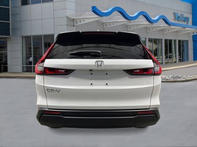 2026 Honda CR-V - Photo 4
