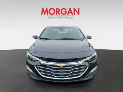 2024 Chevrolet Malibu — detail view