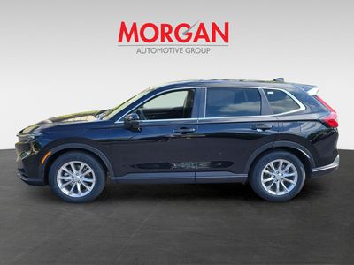 2023 Honda CR-V — photo 7 view