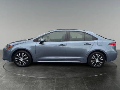 2020 Toyota Corolla — detail view