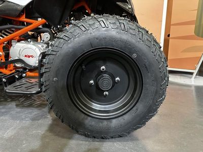 2025 Kayo Storm 150 EFI - Photo 11