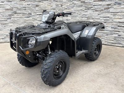2025 Honda FourTrax Foreman Rubicon 4x4 EPS - Photo 2