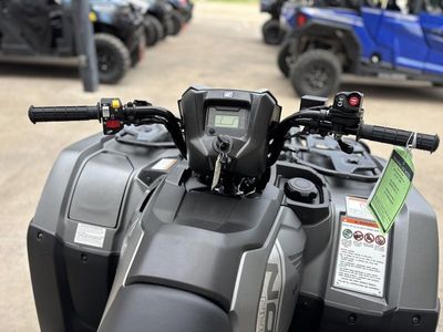 2025 Honda FourTrax Foreman Rubicon 4x4 EPS - Photo 10