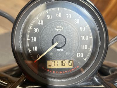 2014 Harley-Davidson Sportster Forty-Eight - Photo 11