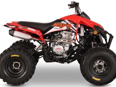 2026 Kayo Storm 300 EFI - Photo 1