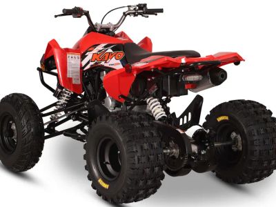 2026 Kayo Storm 300 EFI - Photo 7