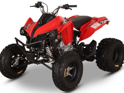 2026 Kayo Storm 300 EFI - Photo 4