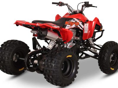2026 Kayo Storm 300 EFI - Photo 6