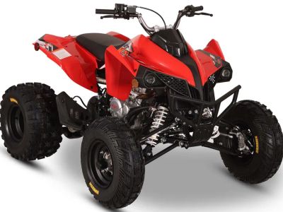 2026 Kayo Storm 300 EFI - Photo 3