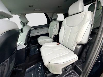 2025 Hyundai Palisade — photo 20 view