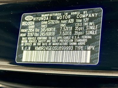 2025 Hyundai Palisade — photo 43 view