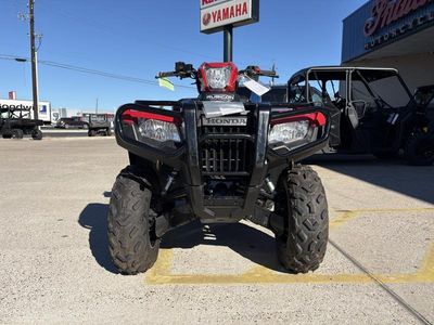 2025 Honda FourTrax Foreman Rubicon 4x4 Automatic DCT EPS - Photo 3